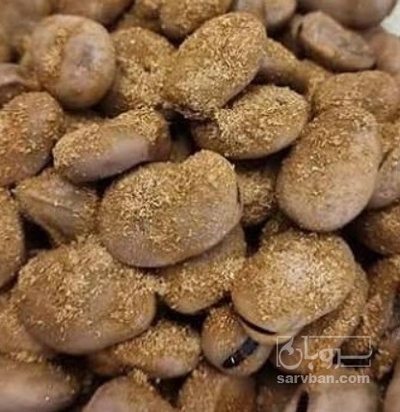 فروش باقلا تازه - باقالی - باقالا