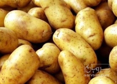 فروش سیب زمینی