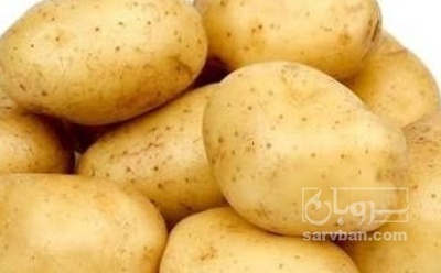 فروش سیب زمینی