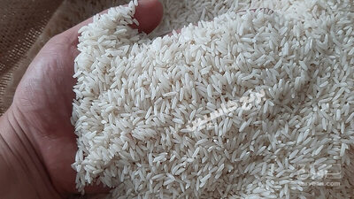 فروش برنج طارم