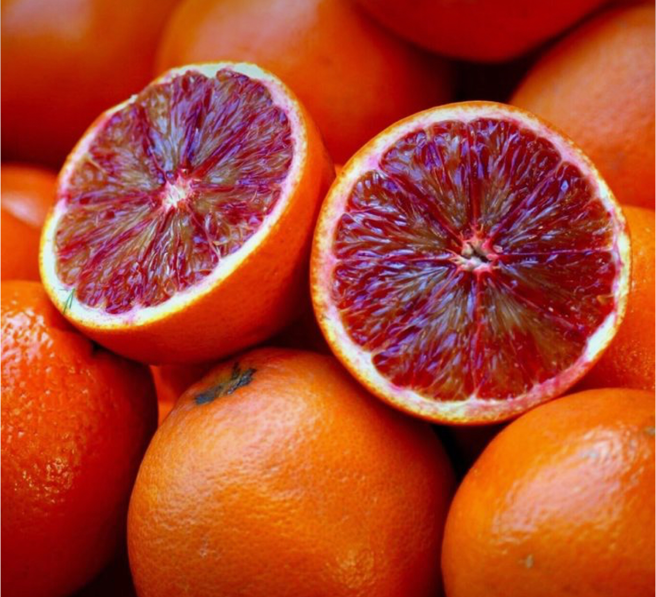 فروش پرتقال خونی