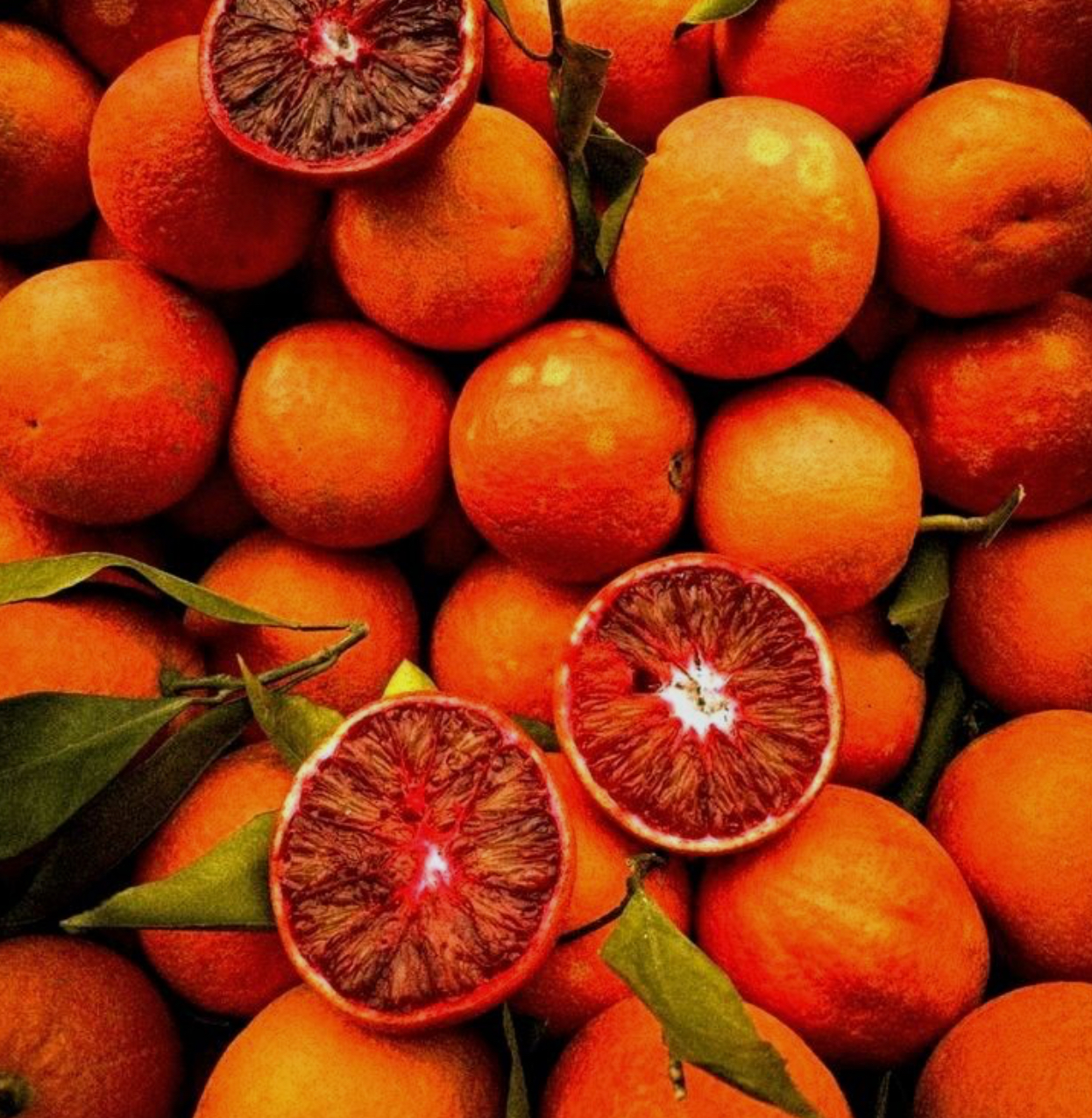 فروش پرتقال خونی