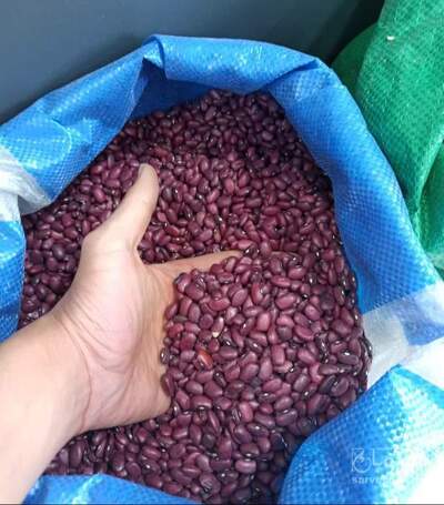 فروش لوبیا قرمز