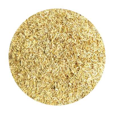 فروش سبوس برنج