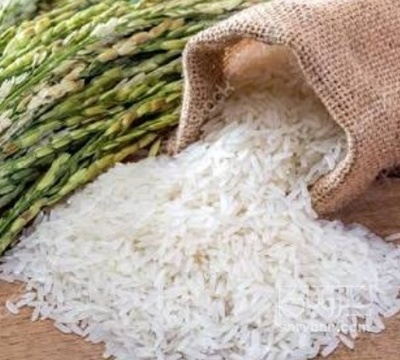 فروش برنج
