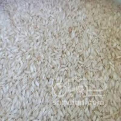 فروش برنج عنبربو