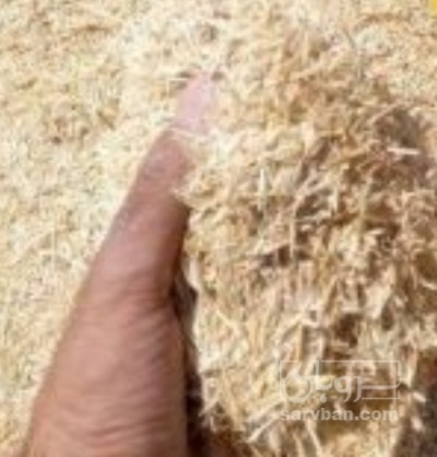 فروش کلش گندم فله