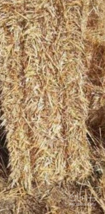 فروش کلش گندم بسته بندی