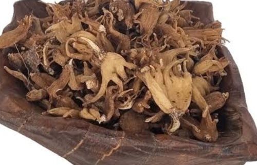 فروش ثعلب (گیاه‌ دارویی)