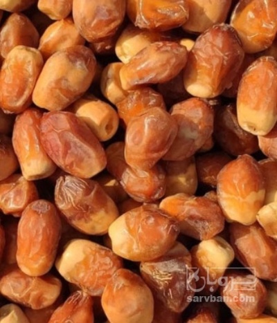 فروش خرما زاهدی