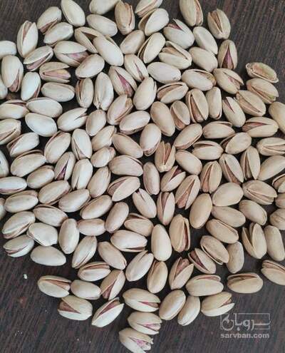 فروش پسته در سامانه سروبان فروش پسته