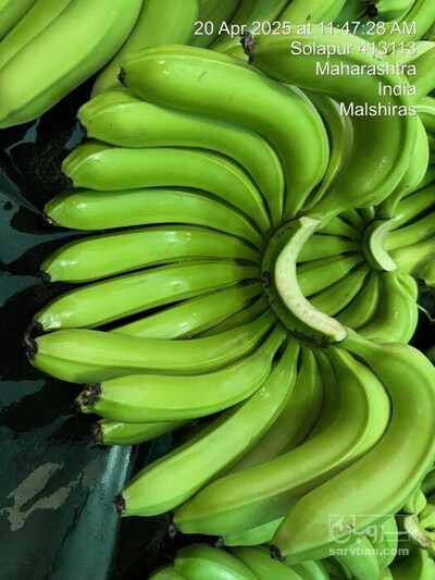 فروش موز در سامانه سروبان فروش موز