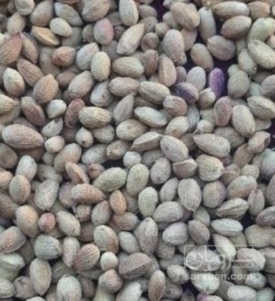 فروش پسته پوک