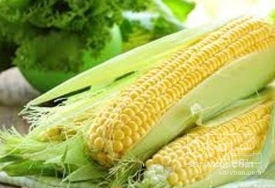 فروش ذرت دانه ای