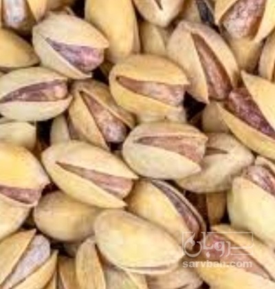 فروش پسته