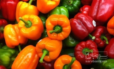 فروش فلفل دلمه ای