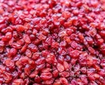 فروش زرشک اناری