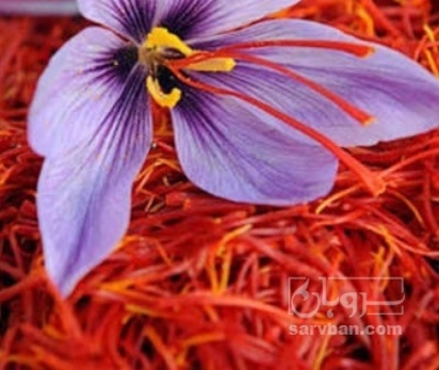 فروش زعفران (گیاه‌ دارویی)