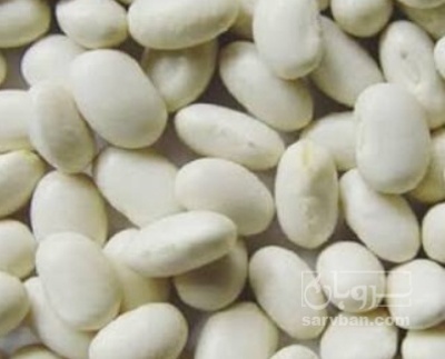 فروش لوبیا سفید