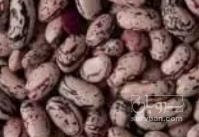 فروش لوبیا چیتی