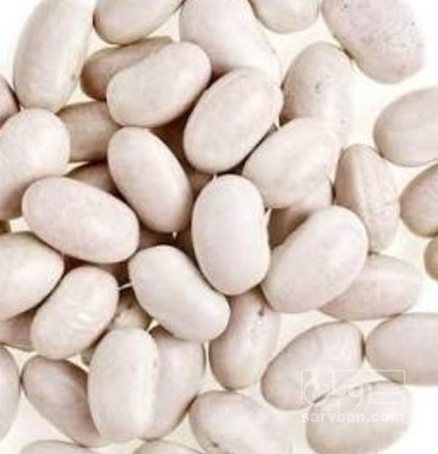 فروش لوبیا سفید