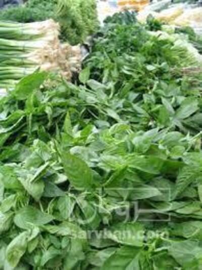 فروش سبزی
