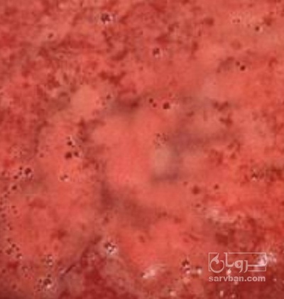 فروش رب گوجه فرنگی