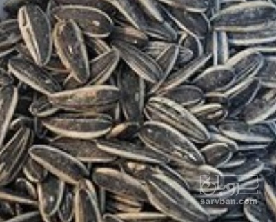 فروش تخمه آفتابگردان بود داده
