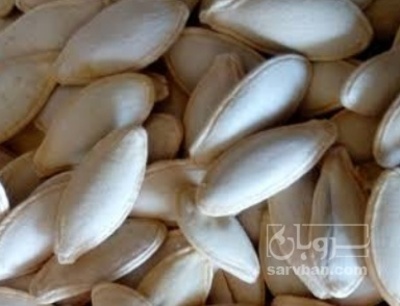 فروش تخمه  کدو گوشتی