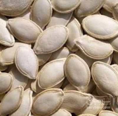 فروش تخمه  کدو مشهدی