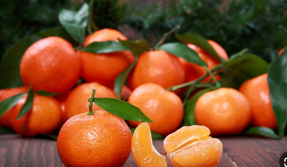 فروش نارنگی اوشو