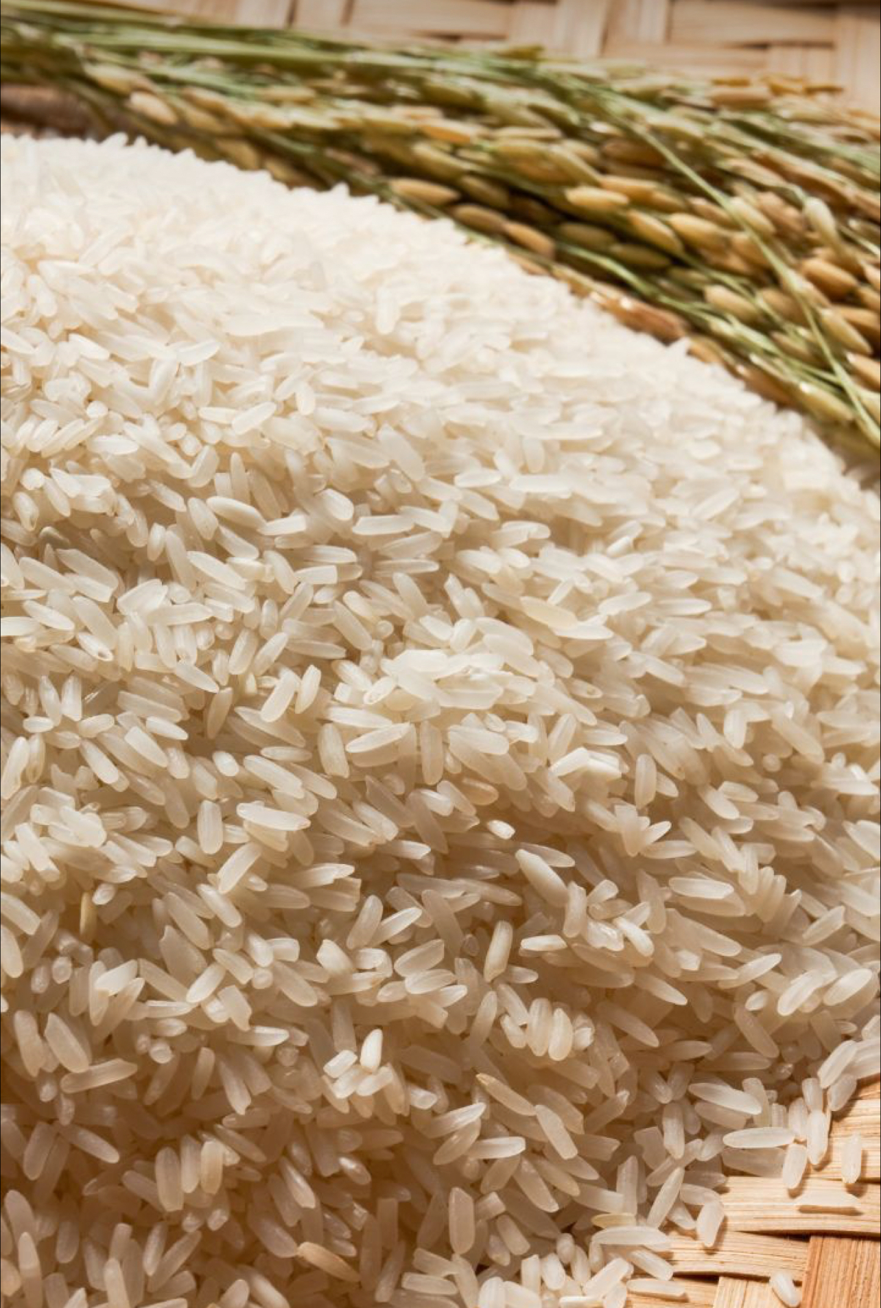فروش برنج