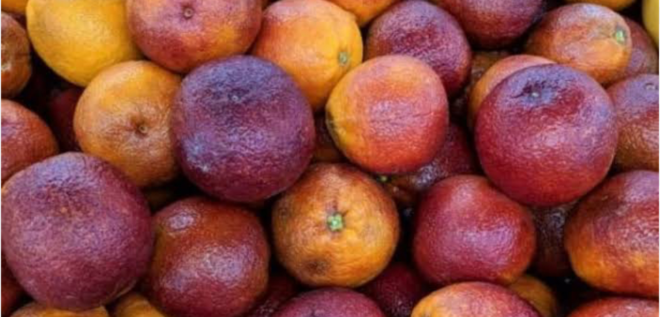 فروش پرتقال خونی