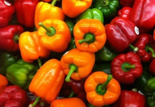 فروش فلفل دلمه ای