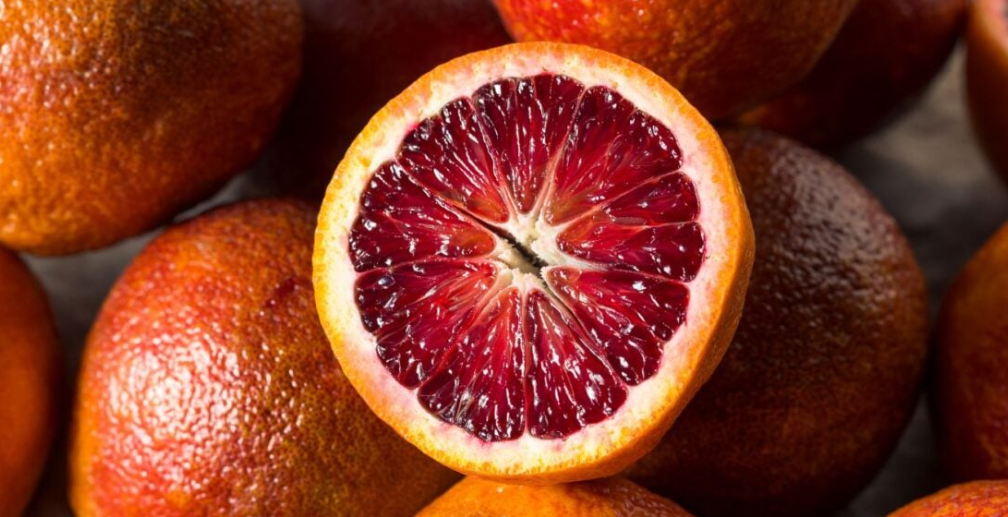 فروش پرتقال تامسون خونی