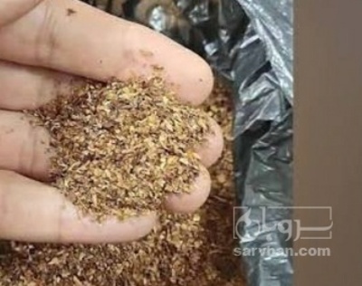 فروش خاک توتون