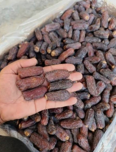 فروش خرما پیارم