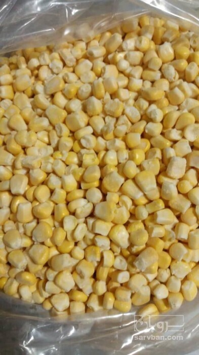 فروش ذرت
