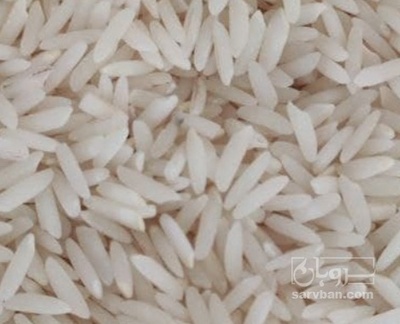 فروش برنج