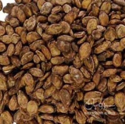 فروش تخمه هندوانه خام