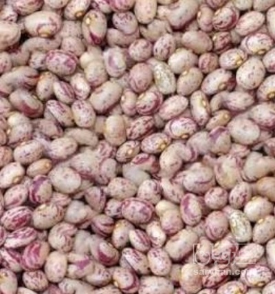 فروش لوبیا چیتی