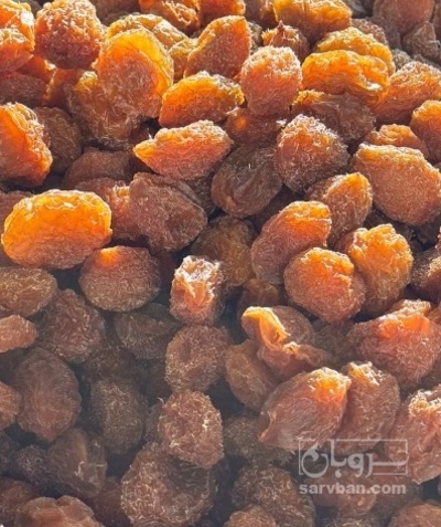 فروش آلو جوشی