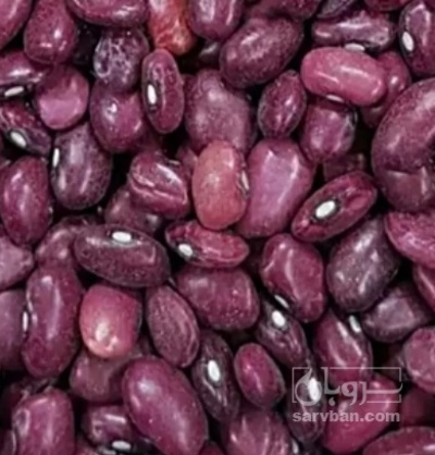فروش لوبیا قرمز