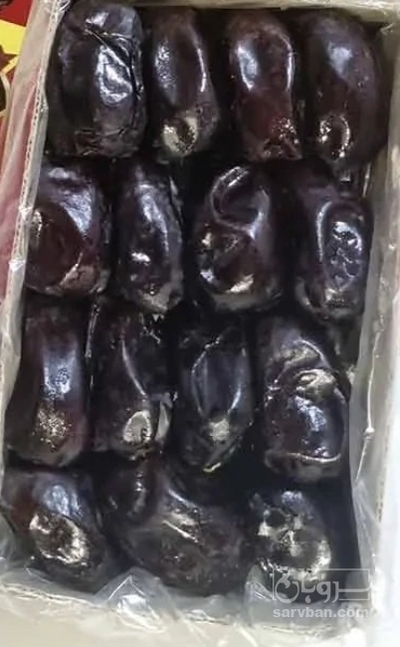 فروش خرما مضافتی