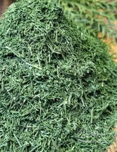 فروش شوید خشک (گیاه‌ دارویی)