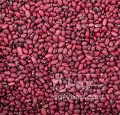 فروش لوبیا قرمز