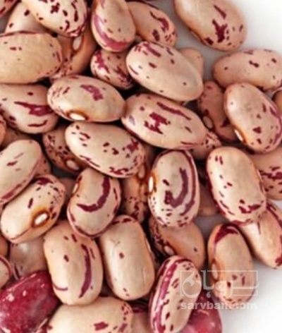 فروش لوبیا چیتی