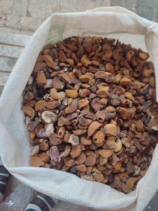 فروش سیر خشک -