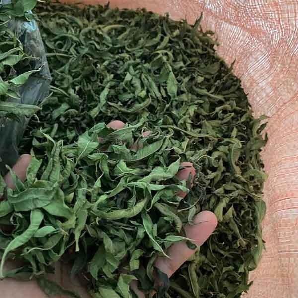 فروش به لیمو (ورون) (گیاه‌ دارویی)