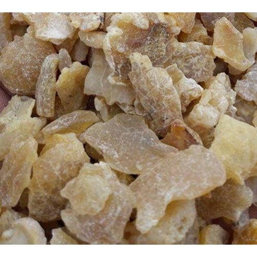 فروش آنغوزه (گیاه‌ دارویی)